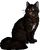 Hawkfrost.warrior