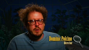 DomPol