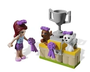 Dog show awards