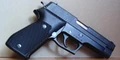 Sig Sauer.jpg