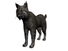 Texturalince3