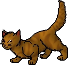 20120125004505!Lionblaze.apprentice.png
