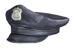 Police hat