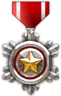 CSO Medal