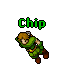 Chip.gif
