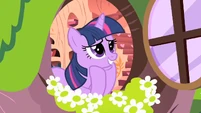 Twilight window S01E23