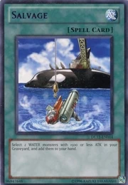 Salvage-DL12-EN-R-UE-Purple.jpg