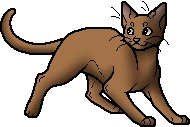 Whiskernose.apprentice.png