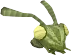 Praying mantis chathead