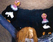 Vultures 1