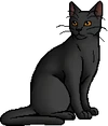Plumwillow.warrior