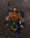 WildhammerLookout
