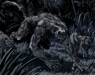Racja stanu werecat