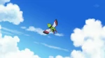 EP609 Xatu volando