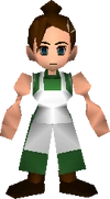 Elmyra-ffvii-field