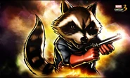 Rocky raccoon