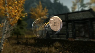 TESV Butterfly In A Jar Marks