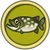 Lucio