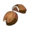 Ekokolettes