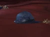 BloodofIso'rath