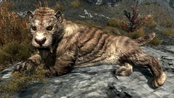 800px-SabreCat