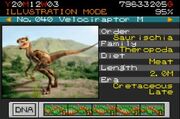 VelociraptorMalePBuilder