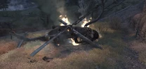 Crash Site Hunted