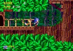 Wood Zone 2