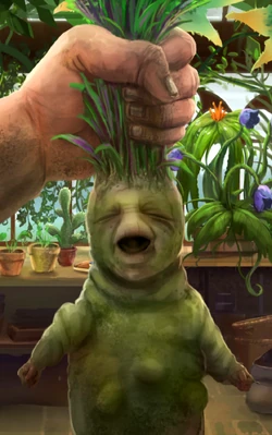 Mandragola