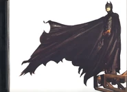Batmanonscaffold