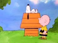 Snoopysleeps