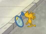 Woodstockmirror
