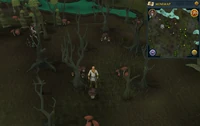 One location considered as "The heart of the Haunted Woods"
