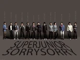 Super junior sorry sorry