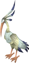 Ibis
