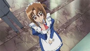 HnGNP Maria