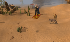 Magic carpet ride