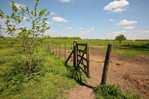 The Farm Gate
