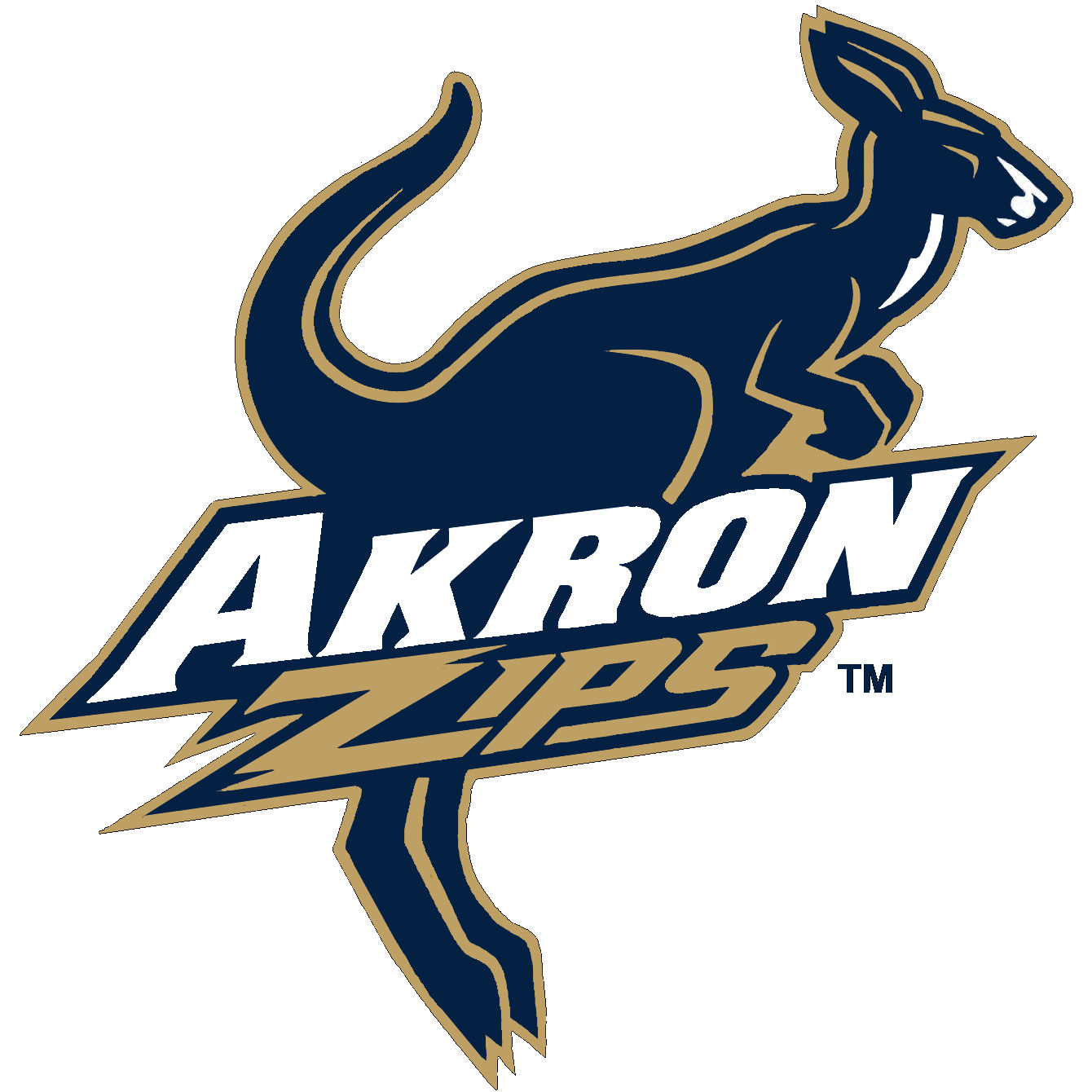 Akron Zips American Football Wiki