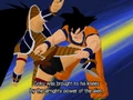 Goku Raditz Budokai