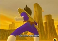 Vegeta Krillin Budokai