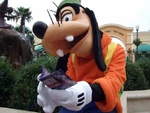 Goofywdsp