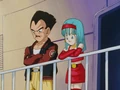 Vegeta and Bra