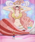 Comparacion de Luffy y Shirahoshi