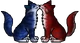 ShellXSky