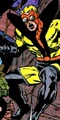 Ray Palmer Sting 001