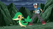 EP721 Snivy junto a ash