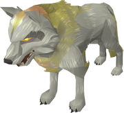 Sköll