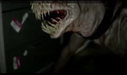 Crawler