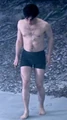 Boxersharry.png